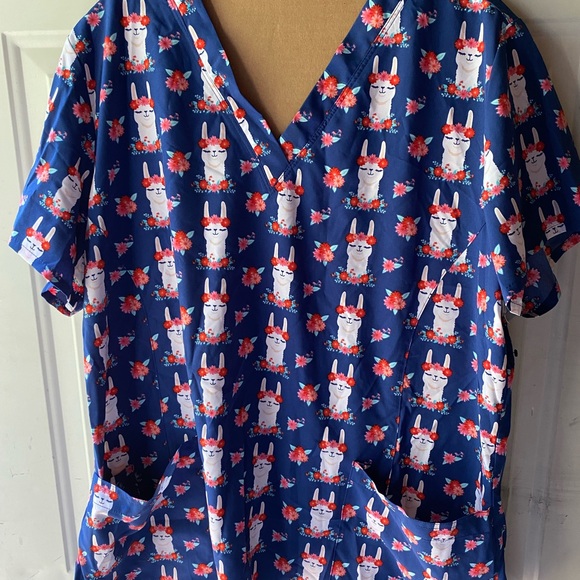 Scrub - Picture 1 of 4